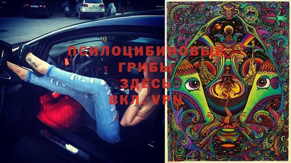 молекула духа Белоозёрский
