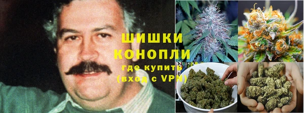мяу мяу мука Белокуриха