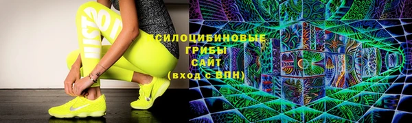 молекула духа Белоозёрский