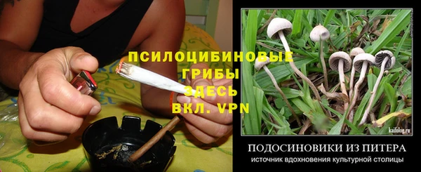 мяу мяу мука Белокуриха