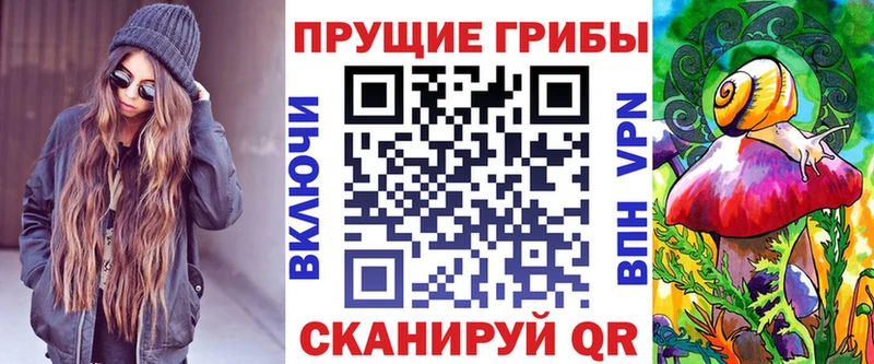 Псилоцибиновые грибы ЛСД  где найти наркотики  Светлогорск 
